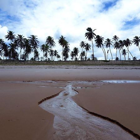 Rosagash Paradise - Praia De Santo Antonio Mata de São João Exterior foto