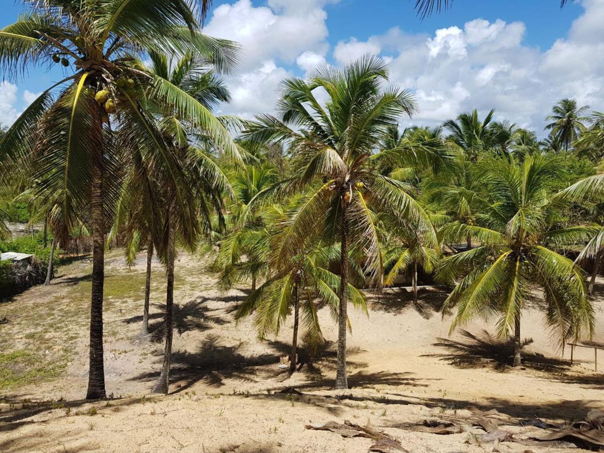 Rosagash Paradise - Praia De Santo Antonio Mata de São João Exterior foto